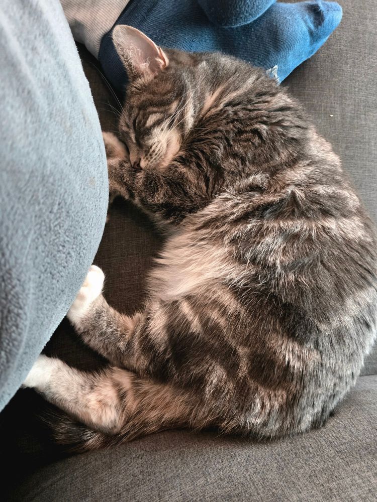 Roxanne in pretty much the same position as above. 