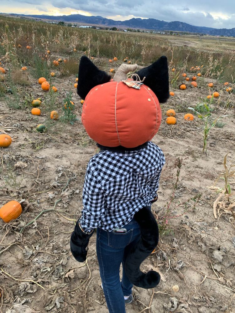 PUMPKINNNN!!!! PUMPKIN PUMPKIN PUMPKIN