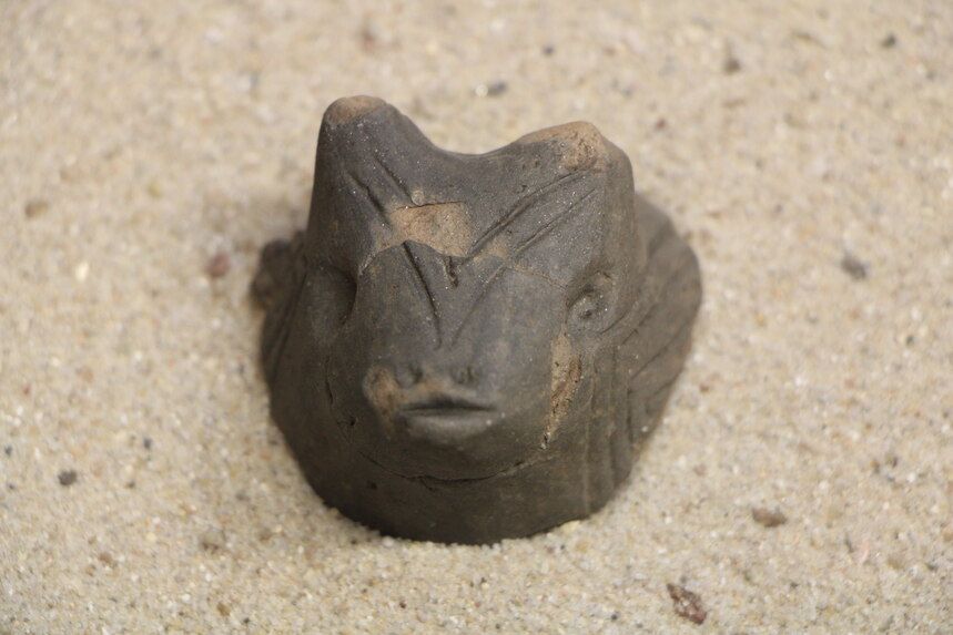 Handhabe in Form eines Tierkopfes, ca. 7000 Jahre alt aus Dresden-Cotta ©Landesamt für Archäologie Sachsen 