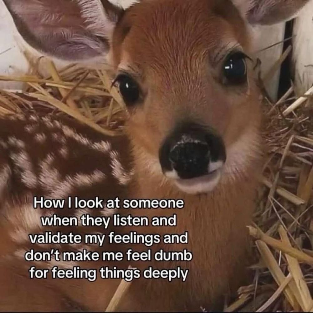 A close up photo of a baby deer laying in straw looking up at you. Text reads “How I look at someone when they listen and validate my feelings and don’t make me feel dumb for feeling things this deeply”