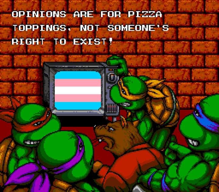 Ninja Turtles and Splinter around the television which is displaying a transgender flag. The caption reads “Opinions are for pizza toppings, not someone’s right to exist!”