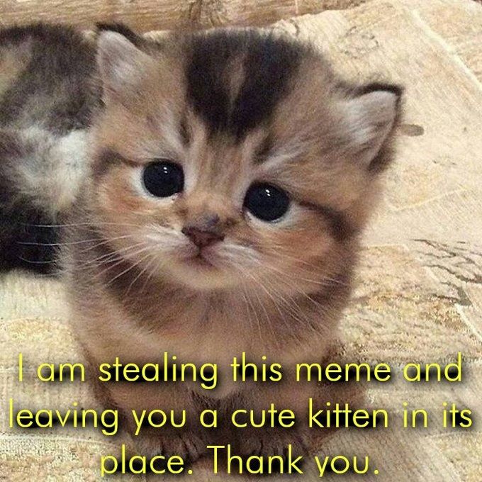 Comment image