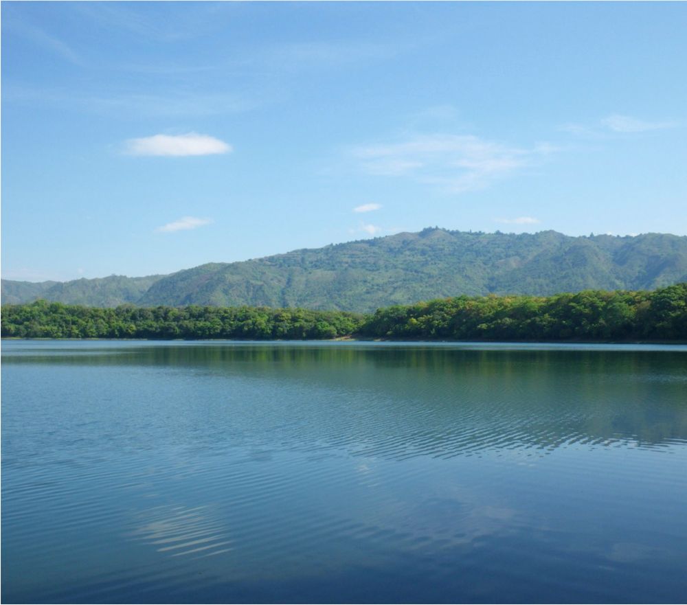 Lake Masoko in Southern Tanzania, also known as Lake Kisiba, is only ~40m deep and 600m in diameter. It was formed around 50,000 years ago, and is isolated from all nearby rivers and lakes. Genetic data suggest it was colonised by Astatotilapia calliptera around 10,000 years ago.