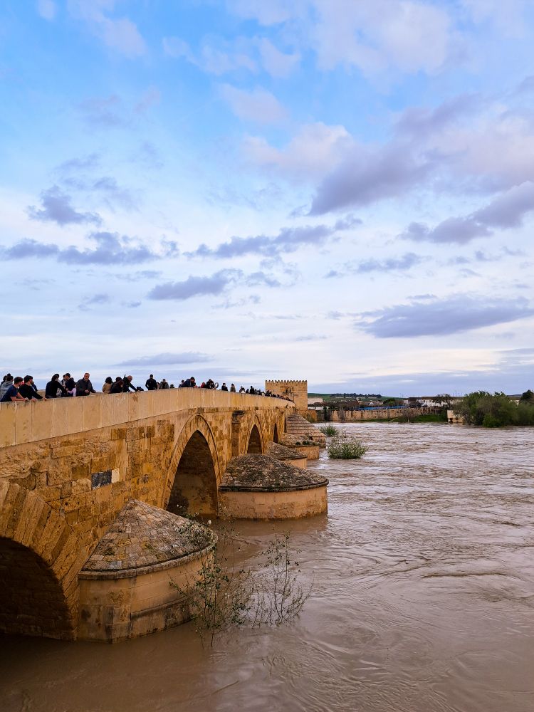 Río Guadalquivir a su paso por Córdoba 📍
