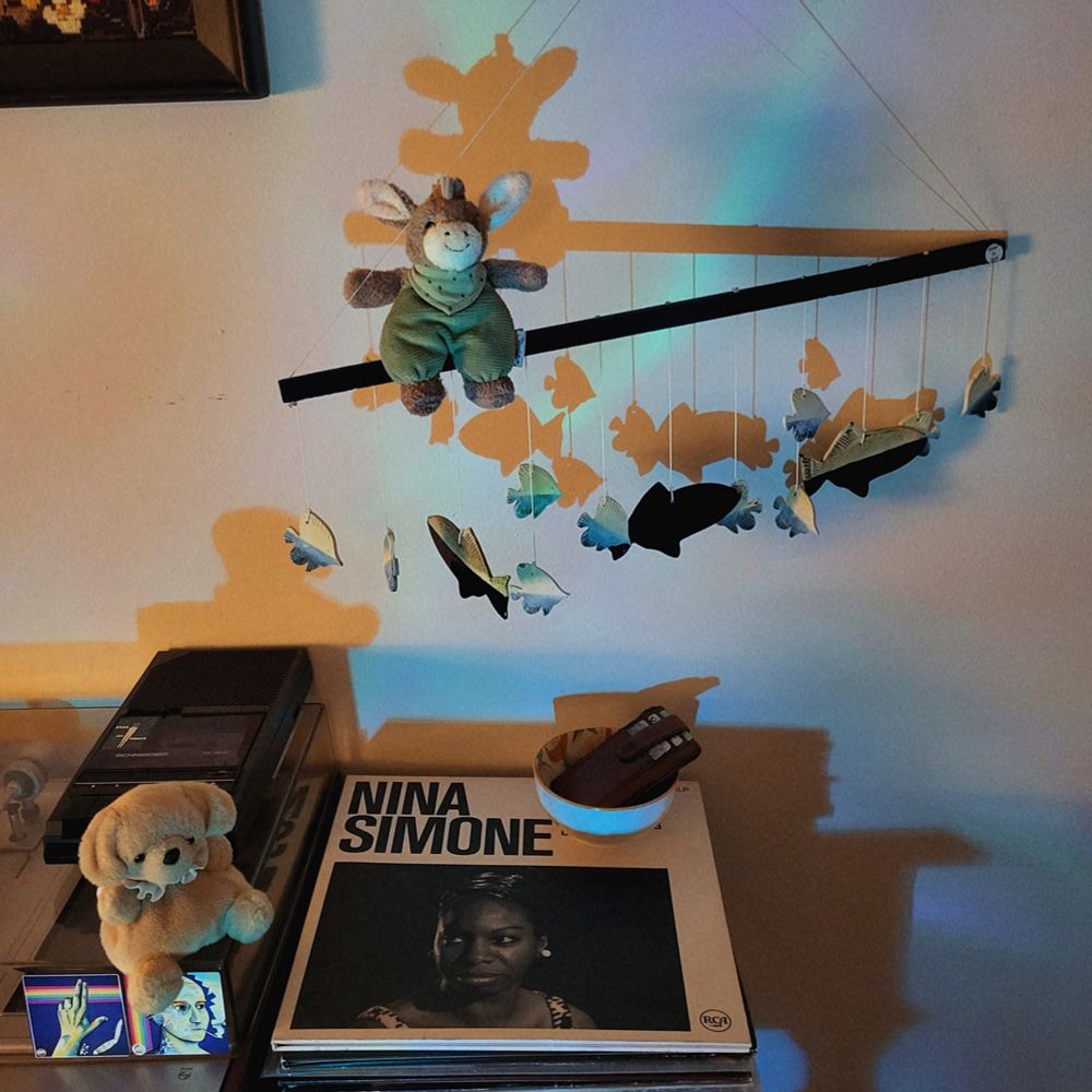 Little donkey sitting on a fish wall-hanging, blue lighting