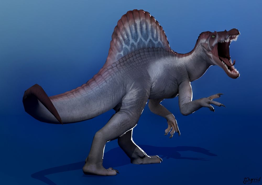 3D Rendering of a spinosaurus roaring on a blue gradient background. Stylized lighting and rim lighting, made in Maya.