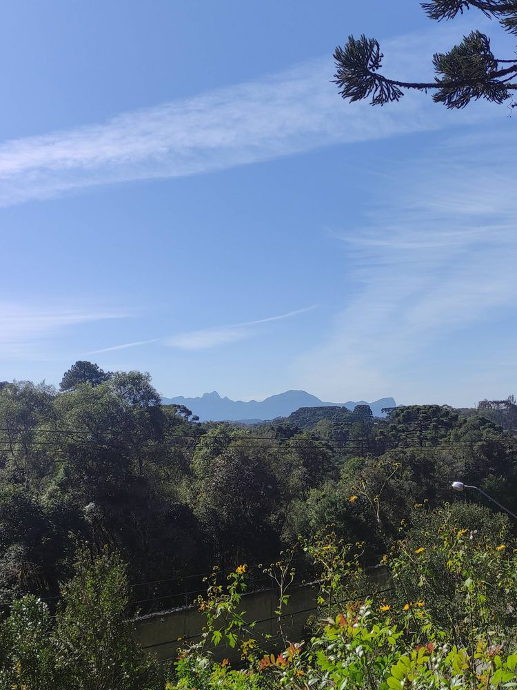 Imagem de uma paisagem com várias árvores, céu azul com poucas nuvens e bem ao longe, a serra do mar.