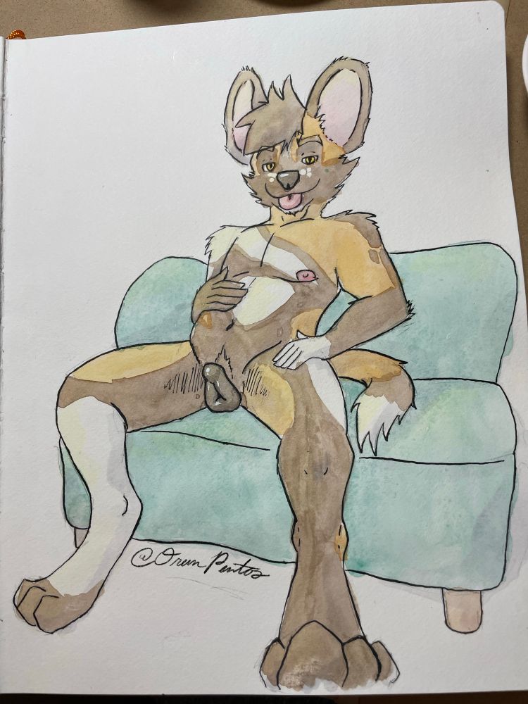 Watercolor image of Oran the african wild dog on a loveseat with his wet cookie out presented to viewer with an inviting and playful look on his face