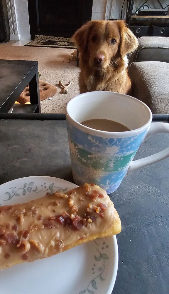 A photo of a bacon maple bar donut on a small plate next to a cup of coffee, this sits on a tray and behind it is a toller looking at the food and towards the camera.