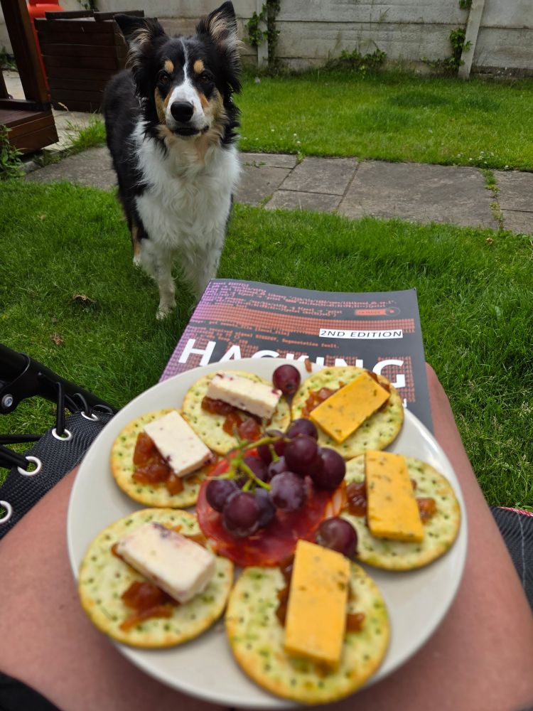 A plate of cheese and biscuits on top of a hacking gamers book with a border derby collie dog looking on.