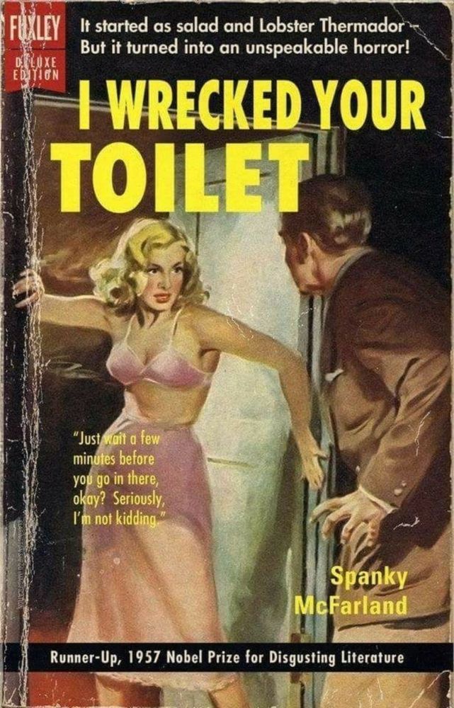 A parody of a romance book from the 1950s, called “i wrecked your toilet”