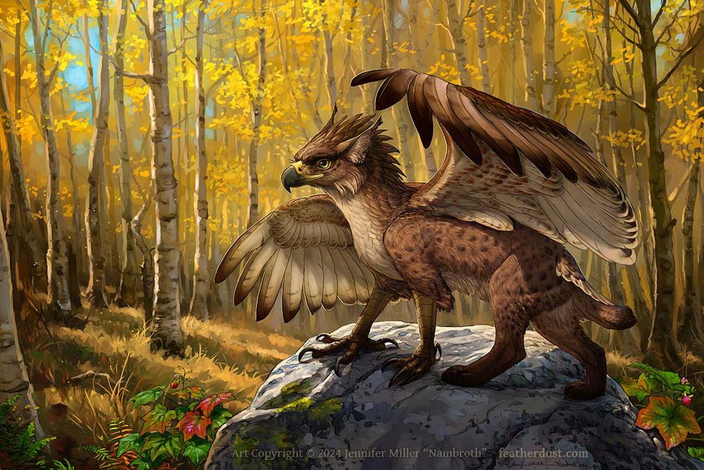 A digital painting of a gryphon standing on a large rock in an aspen forest. The gryphon is based on a lynx and a ferruginous hawk, with brown, cream, and reddish markings, and is standing in a wings partially open pose, as if she just leapt onto the rock and is balanced. The ears are tufted and the eye is green with a subtle happy expression. The forest is aspens in the autumn, glowing in yellow and gold autumn colors with pale barked trunks picking up the surrounding colors. Some ferns and thumbleberry plants can be seen in the foreground, with leaves starting to turn orange and red, and a few pink berries visible. The scene is warm and peaceful with dust motes and small insects dancing in the light. The artist watermark reads: Art copyright 2024 Jennifer Miller "Nambroth" featherdust dot com