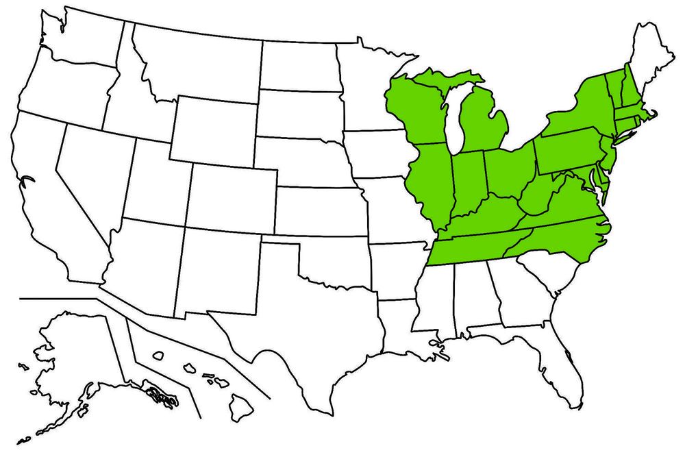 A graphic of the US, showing the following states shaded in green: Vermont, Massachusetts, Connecticut, New York, Rhode Island, Pennsylvania, New Jersey, Delaware, Maryland, West Virginia, Ohio, Virginia, North Carolina, Tennessee, Kentucky, Indiana, Illinois, Michigan, Wisconsin 