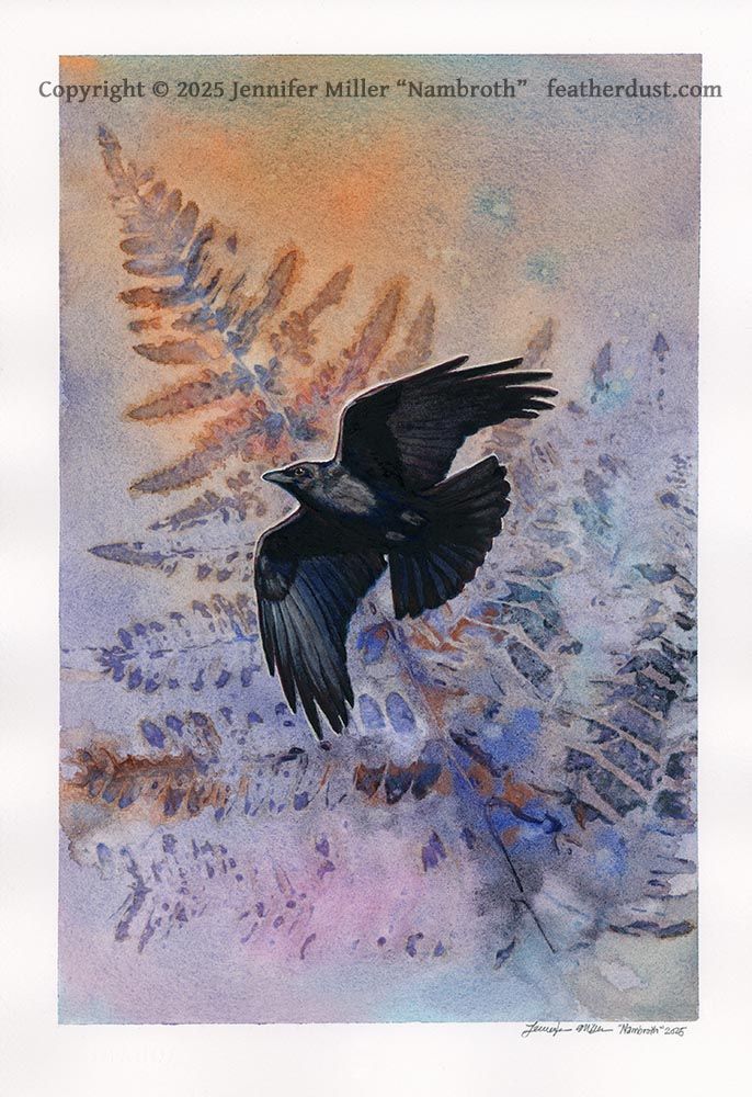 An 11.25 x 7.5 inch watercolor painting featuring a wash of warm oranges at top, fading to purples and pinks then blues at the bottom. In the center, a crow has been painted in detail, wings open in flight and flying upward to the left. Across the middle of the painting, ferns placed onto it while it was wet, and metallic copper and iridescent blue pigments dropped in, so that once dry the impression of ferns remained. The artist watermark reads copyright 2025 Jennifer Miller Nambroth featherdust dot com