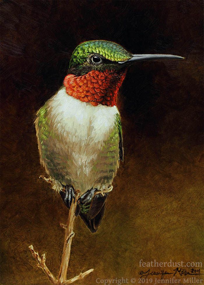 An oil painting of a male ruby-throated hummingbird, perched at the spindly tip of a thin twig. He is oriented toward the viewer and is looking to the right, showing his metallic green scalloped feathers on his crown, with dark coloring around his eye, with a long black hummingbird beak, and his metallic red gorget (throat) feathers are a deep red color. He has a cream colored chest with subtle iridescent green feathers scalloped along the sides, his tiny grey feet are holding the twig neatly, and dark his wing tips and tail can barely be seen from this angle. The artists watermark reads: featherdust dot com, copyright 2019 Jennifer Miller