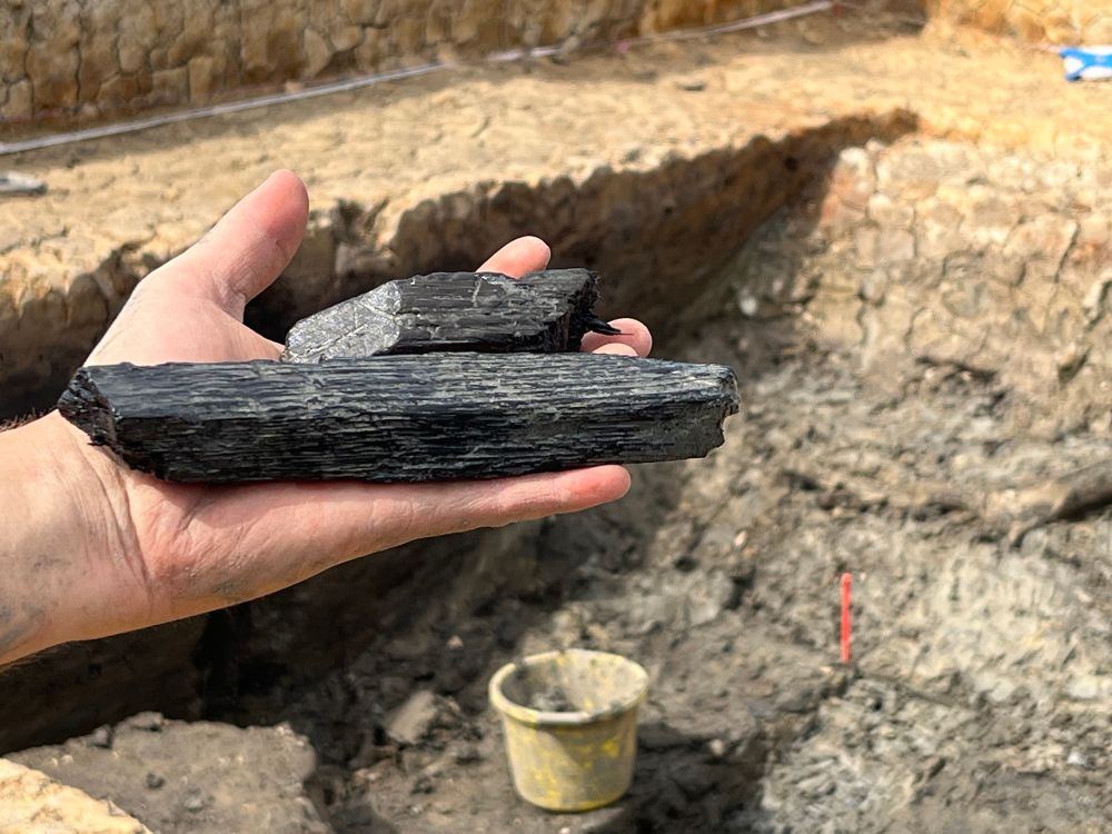Fragments of a wooden stake in a persons hand. The trench from which they came is in the background. 