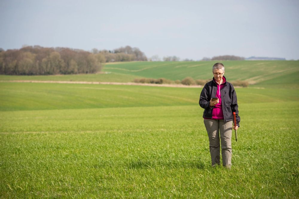 An archaeologist walking through a field of grass with low, rolling hills in the background and trees on higher ground