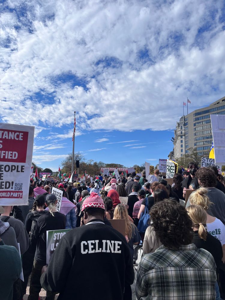 A crowd of people from the back looking towards a stage in the distance - from the March for Palestine in DC on November 4