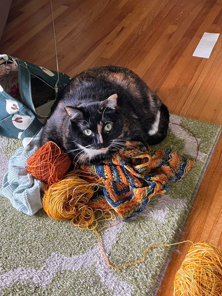 A tortoiseshell cat looks innocently into the camera atop a pile of yarn and knits
