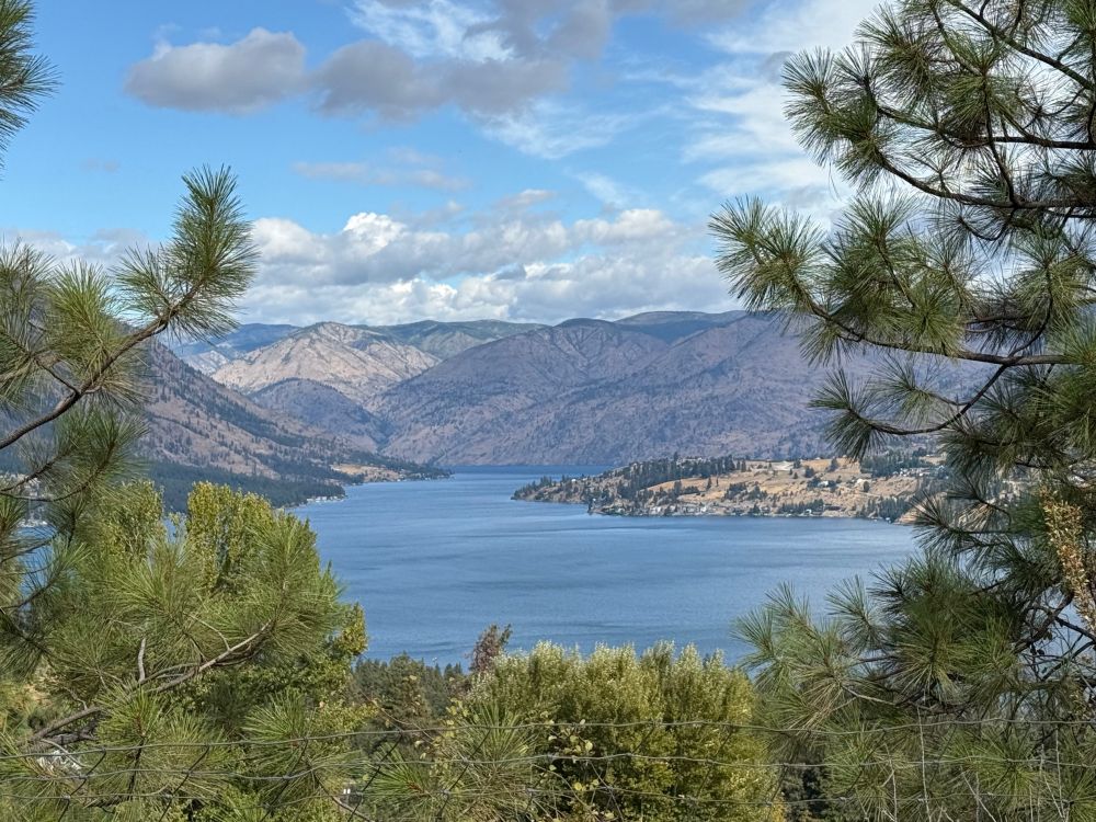 A smooth denim blue lake (lake Chelan) sits in front of purple and tan mountains (the cascades), with ponderosa pines and firs filling the foreground. Dappled autumn light filters through clouds