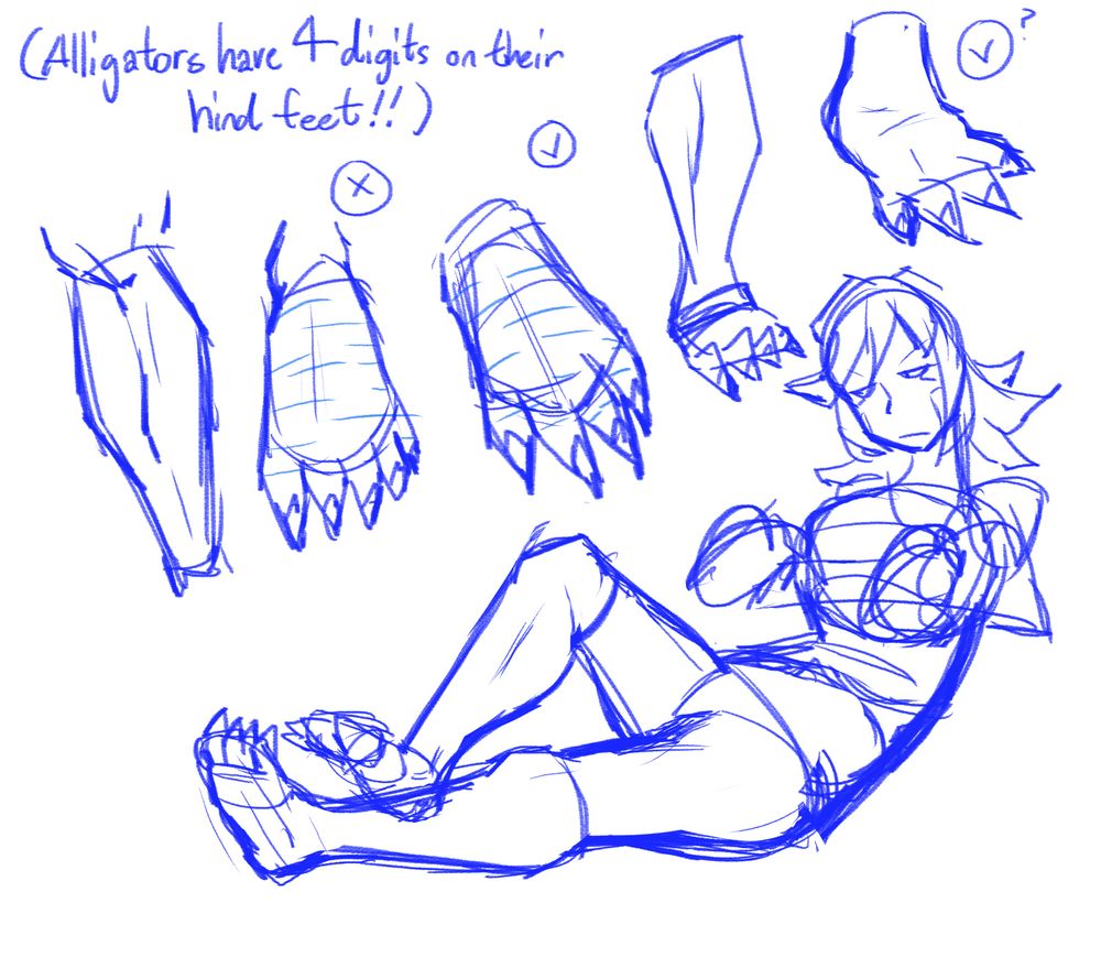 Various leg and feet sketches. The feet are notably reptilian. Skewer is drawn with her legs for the first time in this set.

There's a note at the top: "(Alligators have 4 digits on their hind feet!!)"
