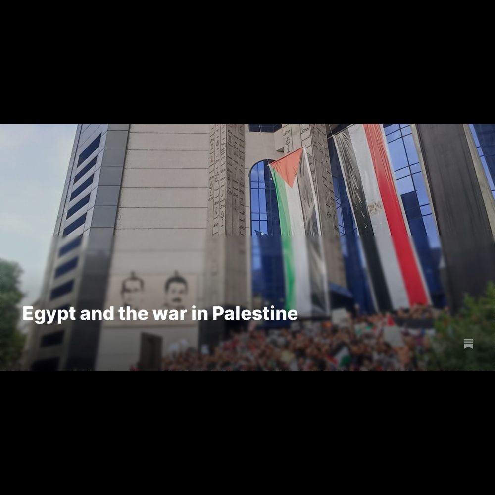 Egypt and the war in Palestine