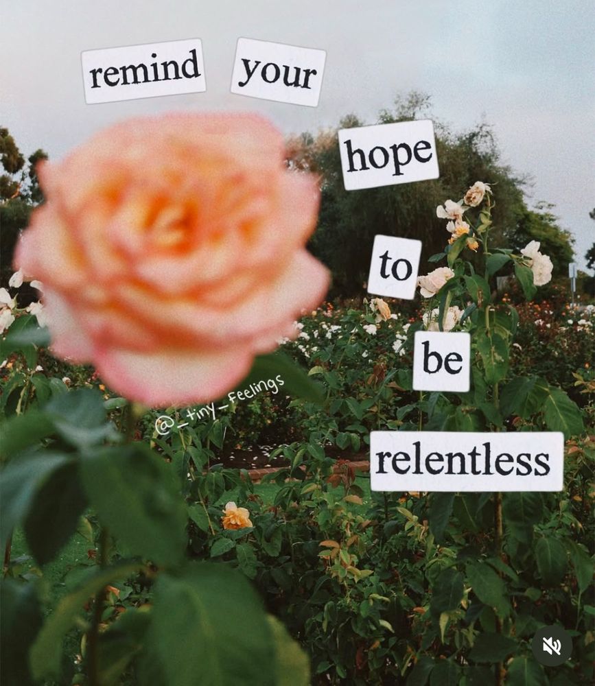 a blurry peachy pink rose is in the foreground of a green garden with other flowers visible in the background 
text reads: remind your hope to be relentless 