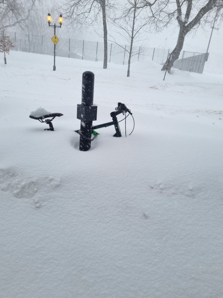 The handlebars and seat of a bike peeking out out the top of the snow