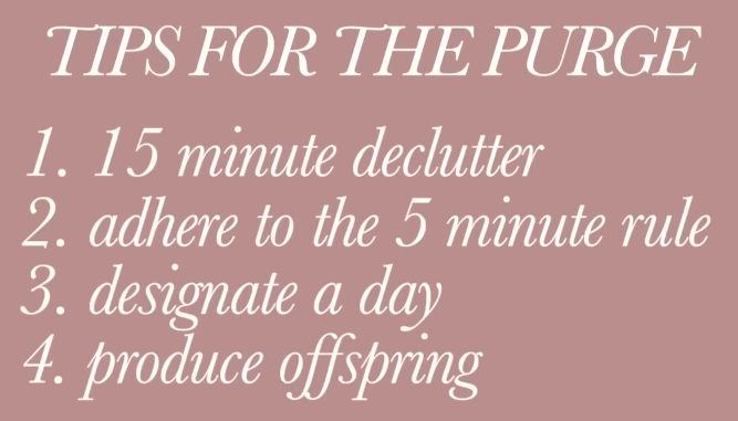 Numbered list of items:
TIPS FOR THE PURGE
1. 15 minute declutter
2. adhere to the 5 minute rule
3. designate a day
4. produce offspring