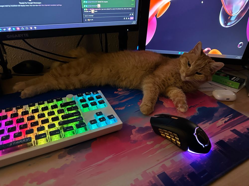 An orange cat laying down underneath monitors, in front of a keyboard and mouse 