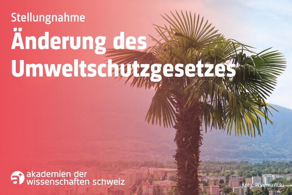 Das Forum Biodiversität Schweiz hat eine Stellungnahme zur Änderung des Umweltschutzgesetzes (Massnahmen zur Bekämpfung von invasiven gebietsfremden Organismen) publiziert.