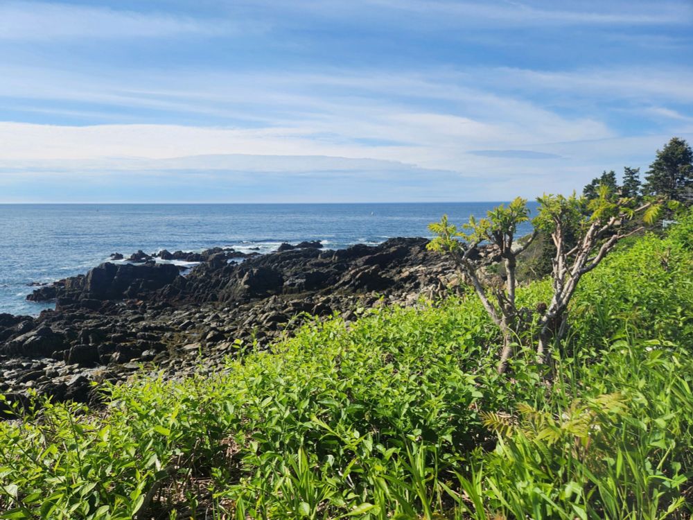 Photo of the rocky Maine coastline