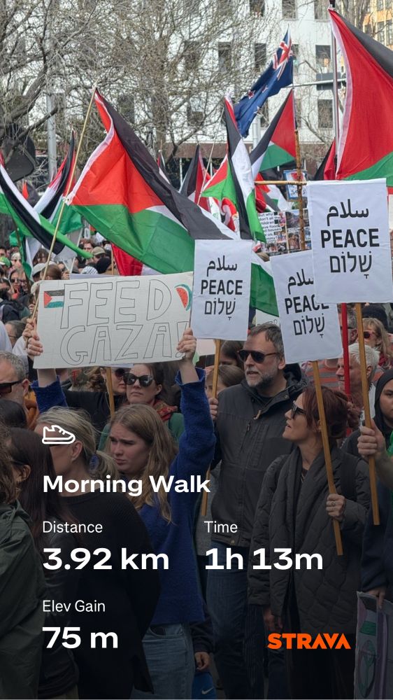 An image of protestors holding Gaza flags and peace signs, overlaid with Strava workout text “morning walk”, “3.92km”