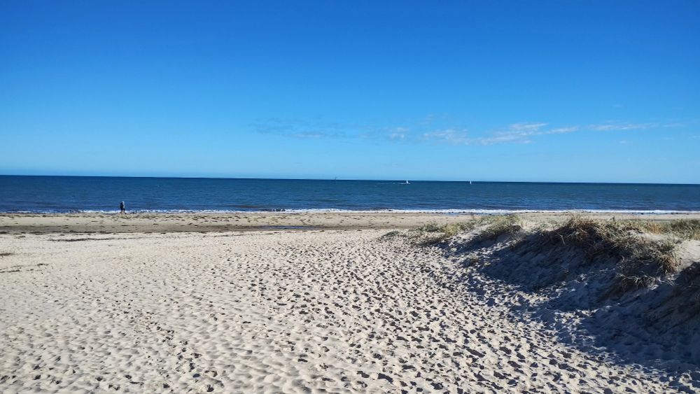 The beach at Seacliff 