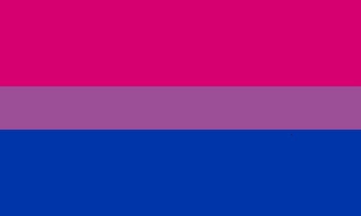 the bisexual flag