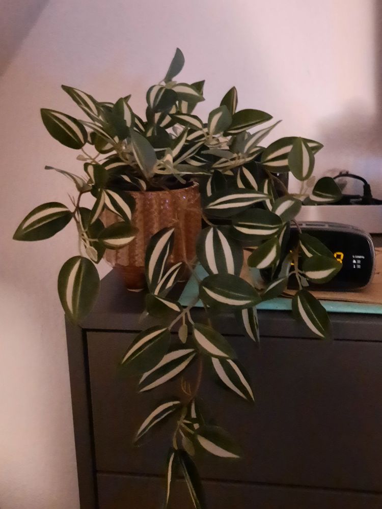 Eine künstliche Grünpflanze, die in einem dekorativen Topf auf einem Regal steht. 
Die Planze sieht so aus als würde sie aus dem Topf hinaus und das Regal hinunter ranken.