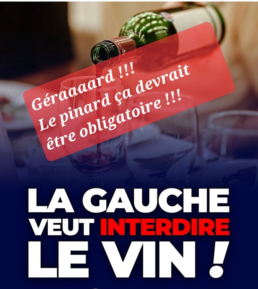 Affiche du RN sur une interdiction du vin détournée avec la mention : "Gérard ! Le pinard ça devrait être obligatoire !"