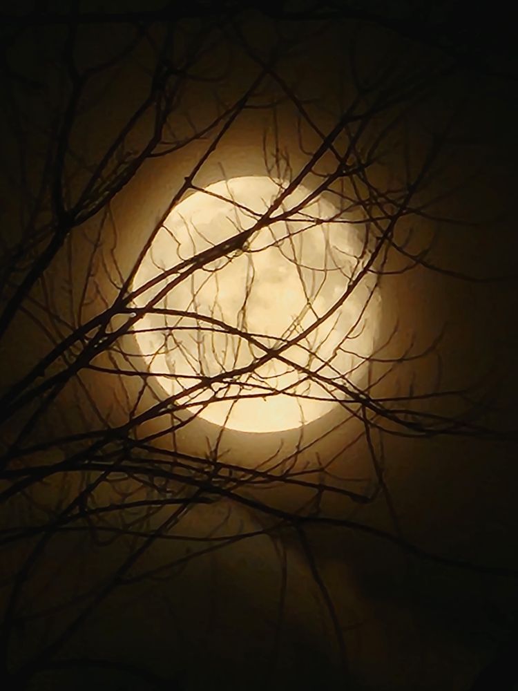 a bad pic of the moon taken with a cellular telephone camera. 