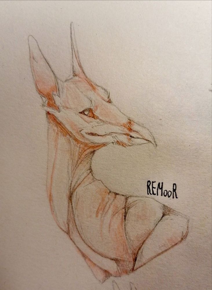 Watercolor drawing on paper of beige Griffin, shoulder-length. He cunningly turned his head to the right, squinting at the viewer. He has orange eyes and long ears, and he has little fur like a sphinx cat.
Background: white. 