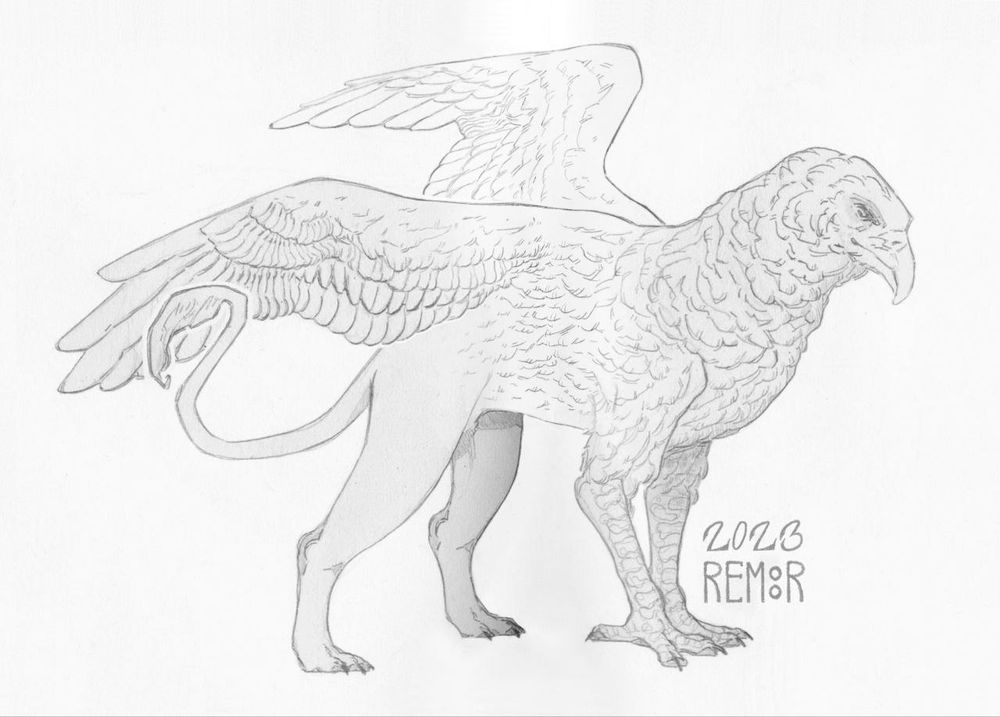 A pencil sketch on paper of a griffin. It is a fantastic creature, with the head, front paws and wings of an eagle and the back of the body of a lion. He is drawn in full height, just standing, spreading his wings.