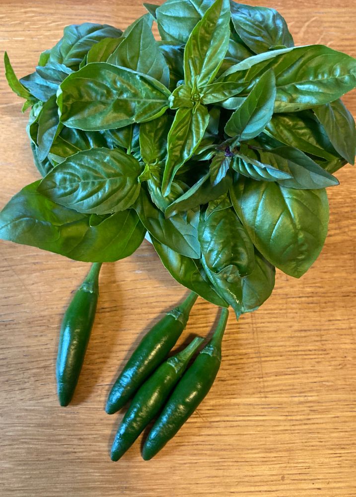 a large bunch of green basil and four green chilis underneath on a wooden table