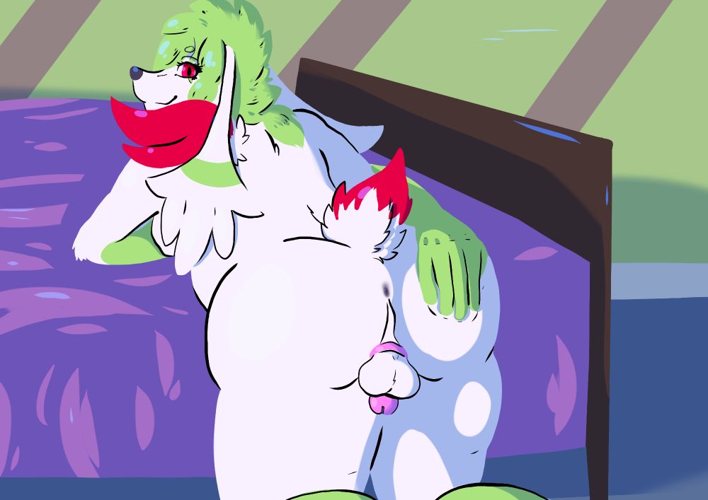 An anthro Shaymin presenting her caged cock and balls along with ass