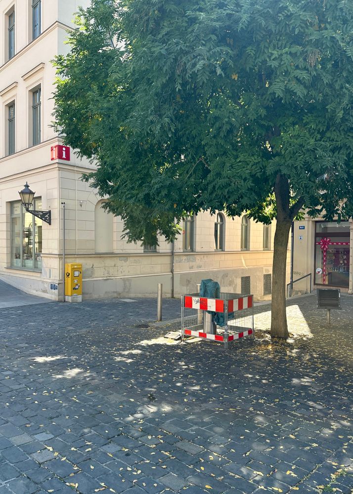 Der einzig „richtige“ Baum auf dem über 8.000 qm großen Marktplatz in Altenburg steht an der unteren Marktseite zwischen Tourismusinfo (links) und Café Domizil (rechts, nicht im Bild), darunter der seit vielen Wochen eingezäunte und verhängte Trinkbrunnen. 
