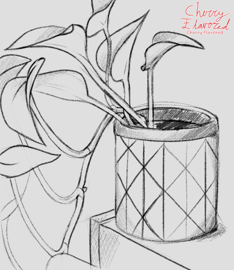 A digital sketch of a leafy plant in a pot. There are a number of broad leaves and long vines; one particular vine grows downward and out of frame. The pot has a diamond pattern around it. There is minimal shading throughout, mostly meant to illustrate which leaf is in front or behind the others.