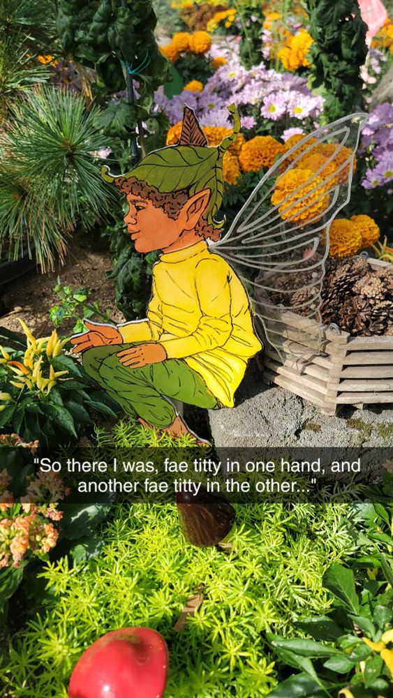 A picture Boris took at the Mitchell Park Domes in Milwaukee, WI.  It features a fae decoration with Boris adding a caption of it recalling a story. 