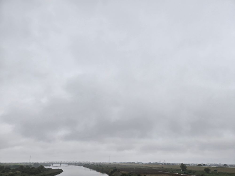 朝から しとしとコヌカアメ　雨ぞ降る