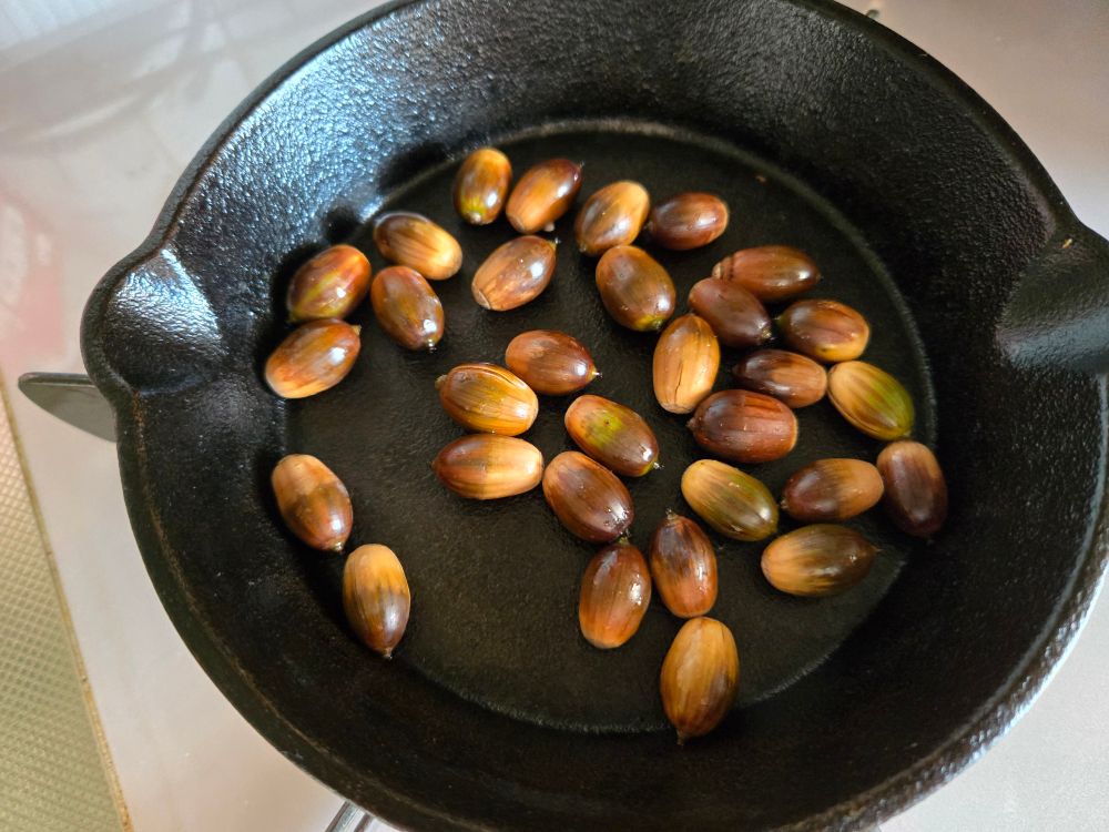 散歩途中で拾ってきたドリンク　スキレットで炒って食べよって思ったので
