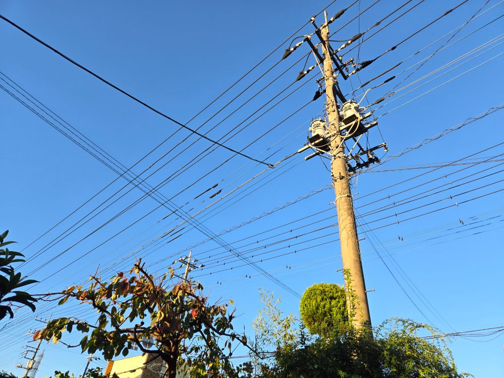Blue Sky Morning 我が家の庭にも雨後の朝陽が入り始めました
柿の木　柿の日に収穫済ませましたが これから渋抜きしなくちゃ食べられません　今年はどんな渋抜きしようかな？