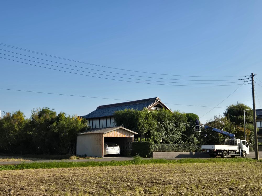 高垣のお手入れの季節です　あちこちで業者や各家人が枝下ろししています
昔は竹を組んだ梯子で対処していましたが　今は機械でさくっと作業する方もいます
私の祖父は 2階の高さ程で作業中に梯子が倒れ 落ちたコトもありました　私の母はトラクターにバケットつけてその中に乗って作業したコトもありました　
皆さま気を付けて作業してね
