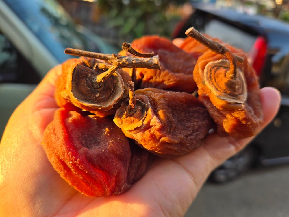 今年の干し柿　無事完成　嬉しい！
去年は惨敗　どんなに手を掛けても出来は天候次第だからね　この辺りでは白くならないけれど これで渋は抜けていますv